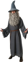 gandolf lotr movie adult costume
