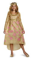 princess aurora coronation kids costume