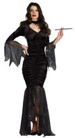 Sexy Mysterious Mistress Witch Costume