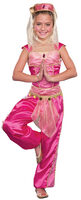 dream genie kids gypsy costume