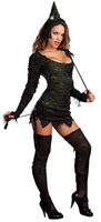 Sexy Wonderfully Wicked Witch Costume