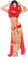 jewel of the desert sexy arabian costume