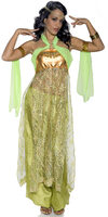 sexy emerald belly dancer costume