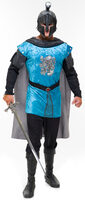 renaissance knight costume