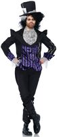 dark mad hatter adult costume