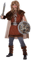 mens mighty viking costume
