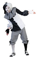 checkered clown costume
