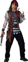 Pirate adult costume