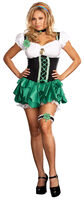 Good Luck Charm Plus Size Costume