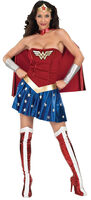 Secret Wishes Wonder Woman Costume