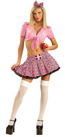 Sexy Teachers School Girl Costume