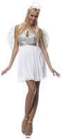 Sexy Angel Costume