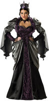 Plus Size Wicked Queen Costume