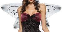 Sexy Night Fairy Costume