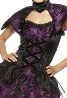 Sexy Purple Velvet Vampire Costume