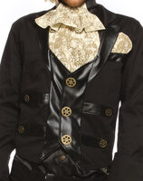 Sir Steampunk Mens Costume