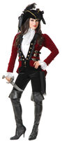 Sultry Pirate Lady Costume