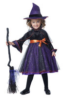 hocus pocus witch kids costume