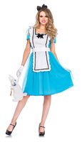Classic Alice in Wonderland women's costume