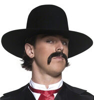 Mens Western Sheriff Hat