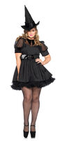 bewitching plus size witch women's costume