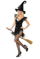 Womens Sexy Playful Witch Costume