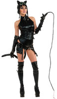 Ame-Comi Catwoman Costume