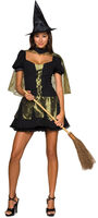 Secret Wishes Wicked Witch Sexy Costume