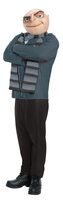 Men's Despicable Me costume