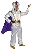 Aladdin Adult Prestige Costume