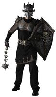 Armored Knight Adult Costume