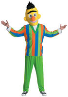 Bert Adult Costume