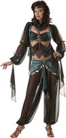 Harem Princess Adult Costume