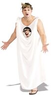 Animal House Toga Adult Costume